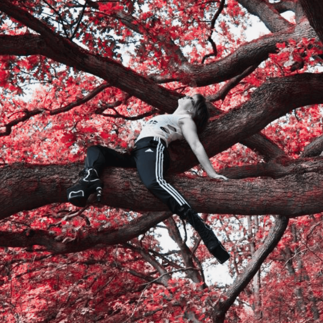 Pole Dancerin im Baum